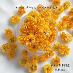 かすみ草　＊みかん＊　ふりるブーケシリーズ　ドライフラワー　レジン　ヘッドのみ　カスミソウ　カスミ草　花材　青　赤　緑　黄色　ピンク　紫　ラベンダー　かすみ草ドライフラワー　