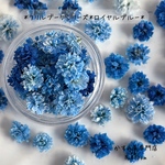 かすみ草　＊ロイヤルブルー＊　ふりるブーケシリーズ　ドライフラワー　レジン　ヘッドのみ　カスミソウ　カスミ草　花材　青　赤　緑　黄色　ピンク　紫　ラベンダー　かすみ草ドライフラワー　
