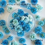 かすみ草　＊グランブルー＊　ふりるブーケシリーズ　ドライフラワー　レジン　ヘッドのみ　カスミソウ　カスミ草　花材　青　赤　緑　黄色　ピンク　紫　ラベンダー　かすみ草ドライフラワー　ガラスドーム