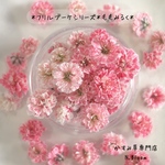 かすみ草　＊ももみるく＊　ふりるブーケシリーズ　ドライフラワー　レジン　ヘッドのみ　カスミソウ　カスミ草　花材　青　赤　緑　黄色　ピンク　紫　ラベンダー　かすみ草ドライフラワー　ガラスドーム