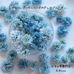 かすみ草　＊ピュアブルー＊　ふりるブーケシリーズ　ドライフラワー　レジン　ヘッドのみ　カスミソウ　カスミ草　花材　青　赤　緑　黄色　ピンク　紫　ラベンダー　粒　かすみ草ドライフラワー　ガラスドーム