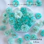 かすみ草　＊ミントみるく＊　ふりるブーケシリーズ　ドライフラワー　レジン　ヘッドのみ　カスミソウ　カスミ草　花材　青　赤　緑　黄色　ピンク　紫　ラベンダー　かすみ草ドライフラワー　