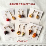 見えるHAPPY  BAG   イヤリング⑤　ミニチュア　