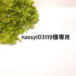 nassyi03119様専用ページ