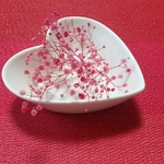 ❤枝付きかすみ草❤ブリザードフラワー❤チェリーピンク【送料無料】