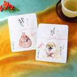うちのこ熨斗 🍵緑茶 6袋(12個入)～ うちの子オーダー 写真入れができる　緑茶ティーバッグ　2026干支　馬　午年　無農薬 緑茶　お茶　熨斗　煎茶　うちの子グッズ　うちの子オーダー　お年賀