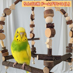 りんごの枝 ドームブランコ 星 (Ｌ) 鳥おもちゃ インコブランコ インコおもちゃ 止まり木