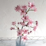 鶴亀折り紙　春を感じる『桜』