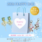 お試しHAPPY BAG2点【中身が見えない福袋🎀】