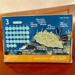 2026ウミウシ図鑑カレンダー