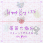 ねこづくし帯留&帯飾り 5000円 福袋　OBIDOME HAPPY BAG 2026　【送料無料】