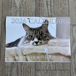 2026 eva CALENDAR
