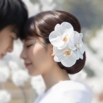 大きな胡蝶蘭髪飾りセット＊かすみ草追加可能＊ヘッドドレス＊ウェディング＊前撮り＊和装＊白無垢