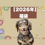 セミオーダー2023福袋　\数量限定/ 