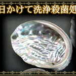 再入荷★再販×100超★アバロンシェル★浄化のトレーやアクセサリートレーに★アワビ貝★貝殻★癒し★ヒーリング★瞑想