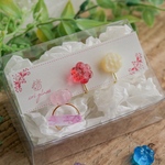 【Happy bag】〜Glass Candy〜