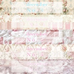 12月  complete set