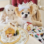犬 バースデー クラウン ホワイト ♡ 猫 誕生日 王冠 うちの子記念日 ペット 帽子 フリル パール かぶりもの 被り物 冠 ヘッドドレス