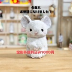 今年もお世話になりました🙇‍♀️チンチラちゃん♪