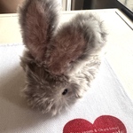 新作❤︎ 再販！モフリンのおみみとしっぽ＊ふわふわ癒しセット＊【シルバー/ブラッシュアップ版】ꕤふんわり送料込みꕤ