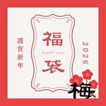 【梅】バイヤー厳選2026年福袋　ヴィンテージアクセサリー　大容量アクセサリーケース付き｜総額約1.5万円相当｜ヴィンテージアクセサリー ネックレスイヤリングピアスブランドシルバーゴールド指輪　