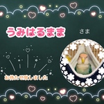 うみはるまま様専用ページ•*¨*•.¸♬︎