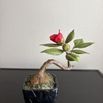 粘土の花　椿