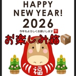 ☆オーダー送料無料☆おまかせ犬服福箱13000