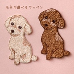 トイプードル刺繍ワッペン