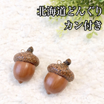 【お試し2個セット】北海道どんぐりチャーム 