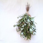 satomi様 魔女の棲む森 ～香風詩～     dried-botanical swag
