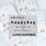 2026 HappyBag 中身が見えるアクセサリー3点セット ピアス イヤリング 福袋 キレイめカジュアル