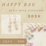 プチプラ♡ハッピーバッグ♡2点入り