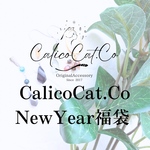 🎍NewYear福袋🎍✨️3000円✨️ ピアスorイヤリング ＆ イヤーカフ ＆ ペンダントトップ ＆ 在庫商品1点ランダムおまけの4点セット