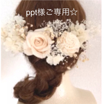 ppt様ご専用♡2種かすみ草の髪飾り