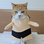 ハリウッドニャコシショウ