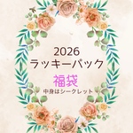 2026年お楽しみラッキーパック🉐中身ヒミツ