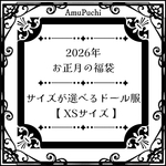 数量限定 ✦ お正月の福袋 ✦ オビツ11 ／ ねんどろいどどーる ／ ピコニーモP 用