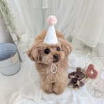 《ミニサイズ》 ポンポンパーティーハット　犬　猫　ぬいぐるみ