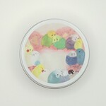 かわいい♪小鳥たちの小物入れ/ミニ缶ケース『羽繕いインコたち』 セキセイインコ         