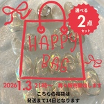 ネイルチップ　ハッピーバック　お好きな作品から選べる2点とおまけチップ2点セットです　福袋　冬ネイル　