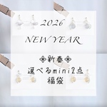 【数量限定】選べるmini2点福袋(ピアス/イヤリング)