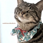 【サイズ調節可能】猫用首輪　ねこ用首輪　「猫くびわ　襟付き　ブルー猫柄」シュシュ首輪　シュシュくびわ　ねこ用くびわゴム　布幅約2cm 