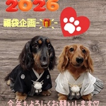 gogomamaiine様専用♡福袋企画