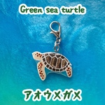 アオウミガメのチャーム