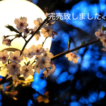 蒼蘭のヘアクリップ＊在庫有り＊簪＊かんざし＊着物＊和装
