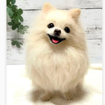☆羊毛フェルト☆【オーダーメイド】☆犬☆ぬいぐるみ☆メモリアル☆リアル☆うちの子☆ハンドメイド☆世界に１つ☆プレゼント☆記念