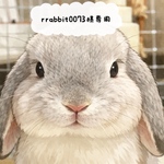 rrabbit0073 様専用