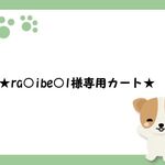 ★ra○ibe○l様専用カート★