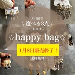 選べる3点⭐︎happybag  \プチギフト付き♥︎/【金具変更＆送料無料】福袋